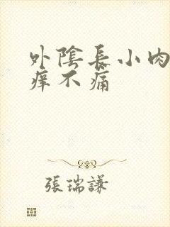 外阴长小肉粒不痒不痛