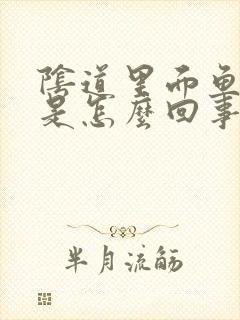 阴道里面鱼腥味是怎么回事