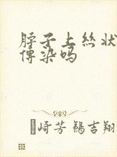 脖子上丝状疣会传染吗