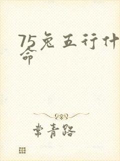 75兔五行什么命