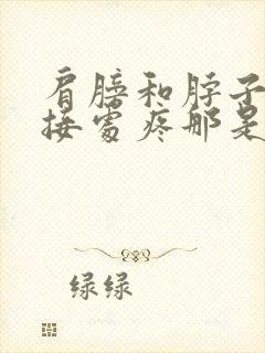 肩膀和脖子的连接处疼那是什么情况封面