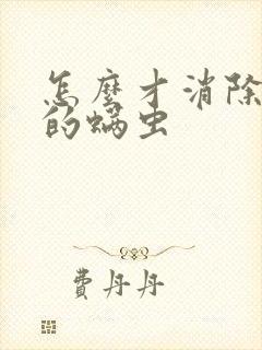 怎么才消除床上的螨虫封面