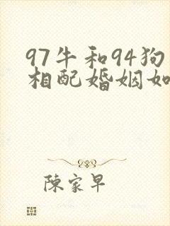 97牛和94狗相配婚姻如何