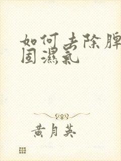 如何去除脾胃顽固湿气封面