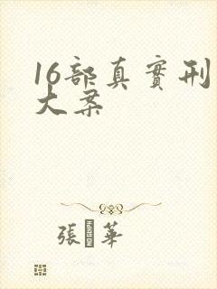 16部真实刑侦大案封面