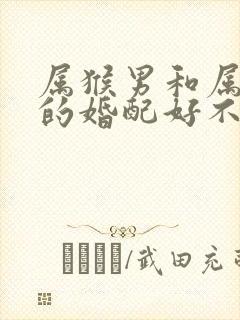 属猴男和属牛女的婚配好不好