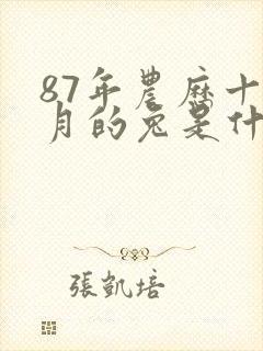 87年农历十二月的兔是什么命