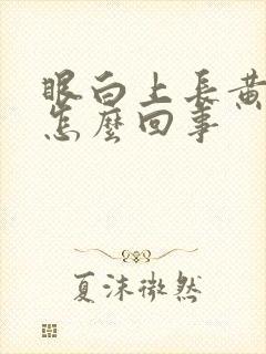 眼白上长黄斑是怎么回事