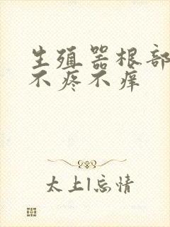 生殖器根部疙瘩不疼不痒