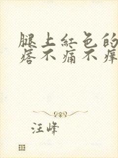 腿上红色的小疙瘩不痛不痒