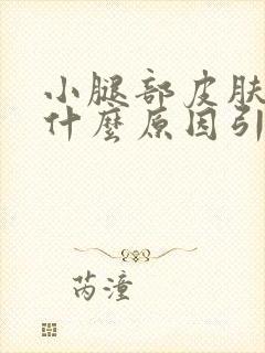 小腿部皮肤痒是什么原因引起的