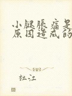 小腿胀痛是什么原因造成的