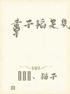 黄子韬是几线明星