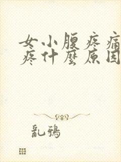 女小腹疼痛腰也疼什么原因引起的