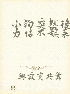 小狗突然后腿无力站不起来抽搐