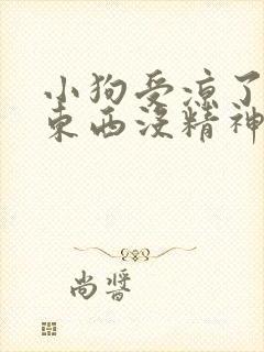 小狗受凉了不吃东西没精神怎么办