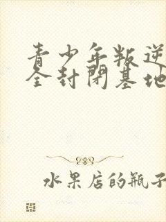 青少年叛逆正规全封闭基地费用