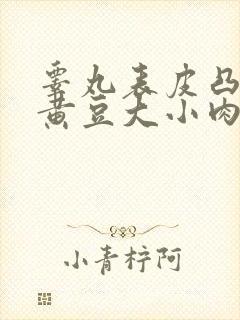 睾丸表皮凸起的黄豆大小肉粒