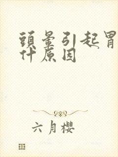 头晕引起胃疼是什原因封面