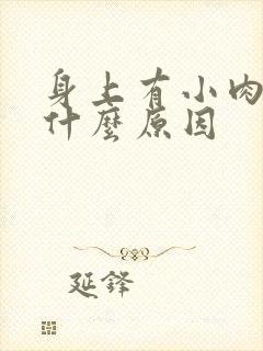 身上有小肉粒是什么原因