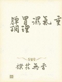 脾胃湿气重怎么调理