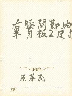 右膝关节内外侧半月板2度损伤怎么治疗