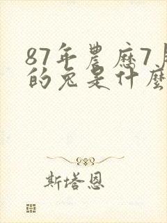 87年农历7月的兔是什么命