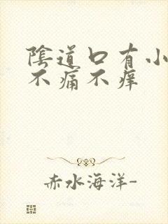 阴道口有小肉揪不痛不痒