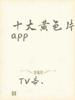 十大黄色片软件app封面