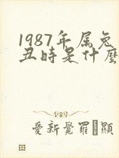 1987年属兔丑时是什么命女生