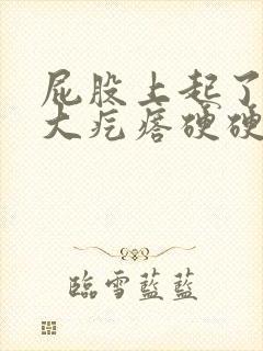 屁股上起了一个大疙瘩硬硬的封面