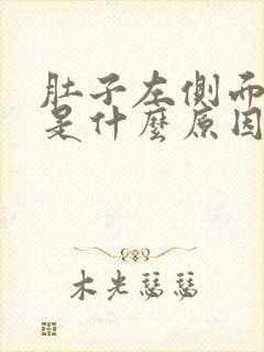 肚子左侧面疼痛是什么原因女性