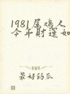 1981属鸡人今年财运如何