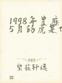 1998年农历5月的虎是什么命