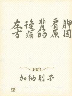 左后背肩胛骨下方痛的原因