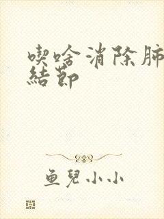 吃啥消除肺上小结节