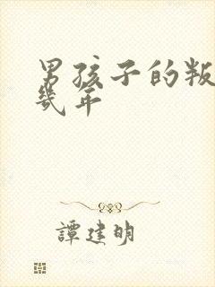 男孩子的叛逆期几年封面