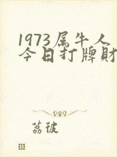 1973属牛人今日打牌财运如何