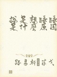 总是想睡睡不着是什么原因