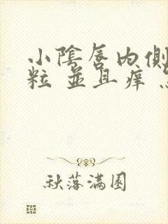 小阴唇内侧有颗粒 并且痒 怎么回事