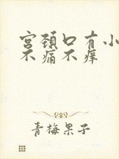 宫颈口有小疙瘩不痛不痒封面