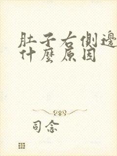 肚子右侧边疼是什么原因