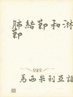 肺结节和淋巴结节