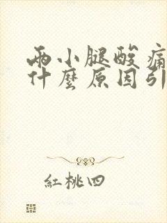 两小腿酸痛无力什么原因引起的