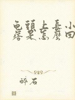 龟头上长小白疙瘩是怎么回事