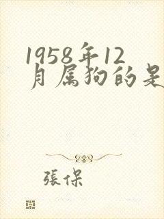 1958年12月属狗的是什么命封面