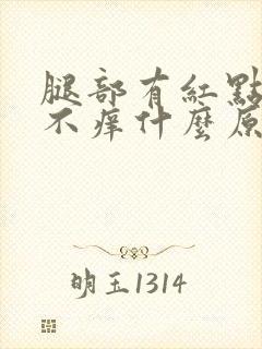 腿部有红点不痛不痒什么原因