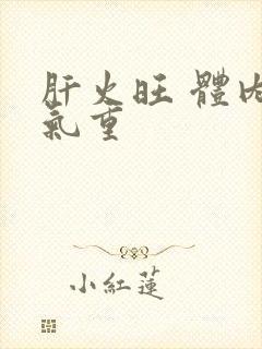 肝火旺 体内湿气重封面