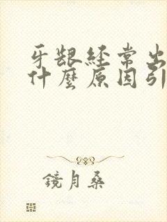 牙龈经常出血是什么原因引起的