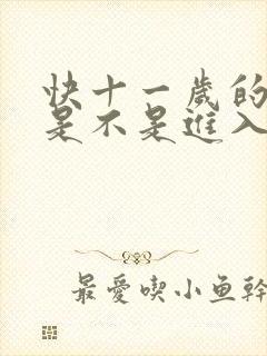 快十一岁的男孩是不是进入叛逆期了封面